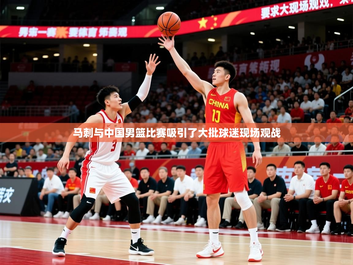 2025开云体育app评价马刺与中国男篮比赛吸引了大批球迷现场观战 第3张